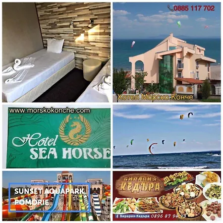 Sea Horse فندق 3*