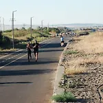 Sea Horse Отель