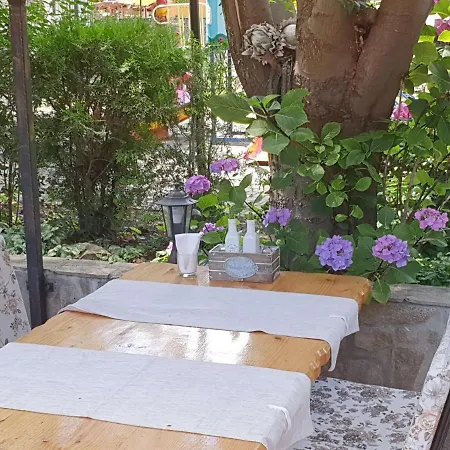 Sea Horse 부르가스