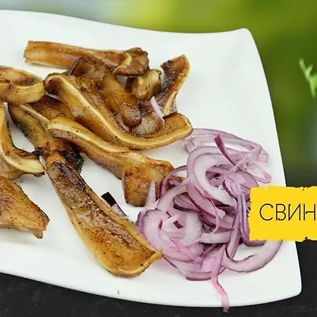 морской конек 3*