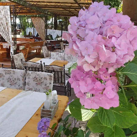 מלון Sea Horse בורגאס