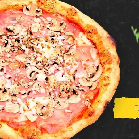 Sea Horse 부르가스