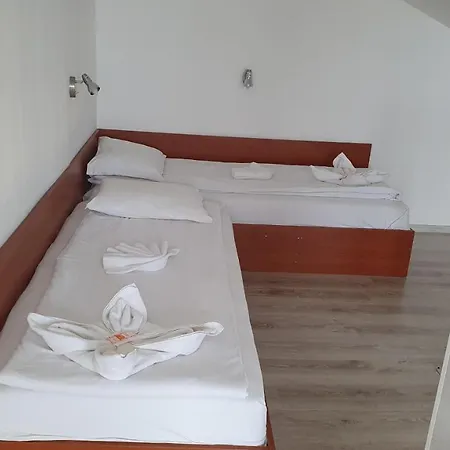 Sea Horse 부르가스