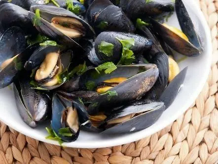 Sea Horse 3* 부르가스