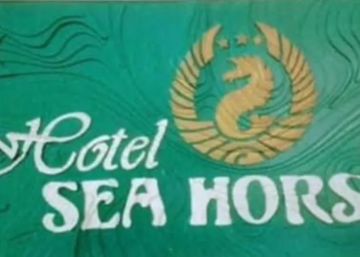 Sea Horse Ξενοδοχείο Μπουργκάς