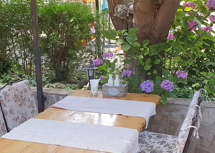 Sea Horse Μπουργκάς