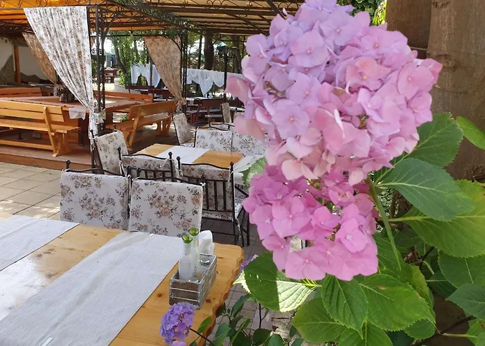 Ξενοδοχείο Sea Horse Μπουργκάς